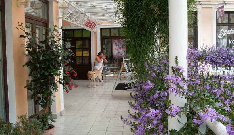 Hotel La Provence Mariánské Lázně